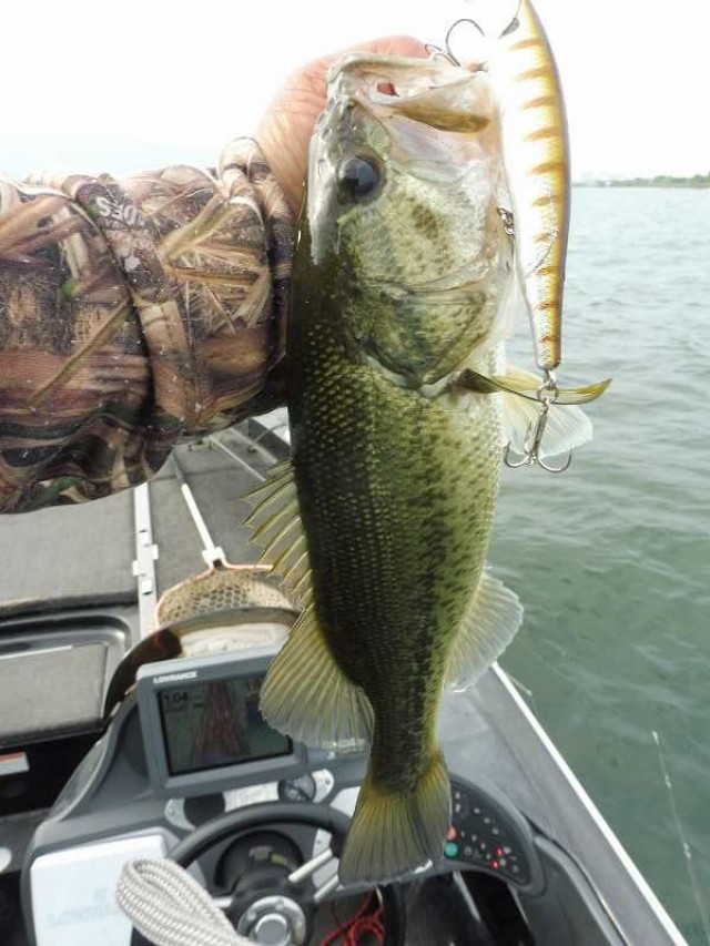 truth okuma ブログ写真 2016/06/06