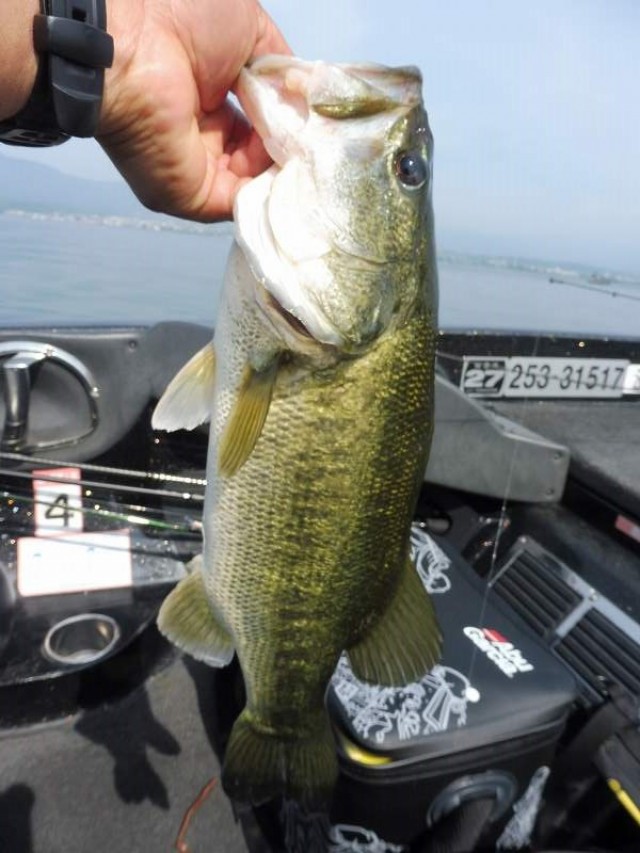 truth okuma ブログ写真 2016/06/06