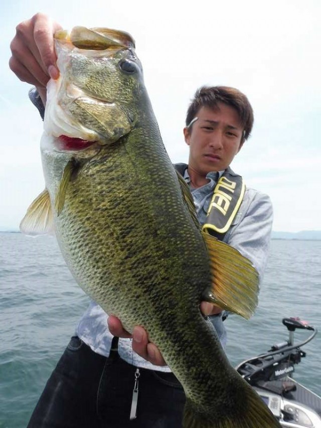 truth okuma ブログ写真 2016/06/06