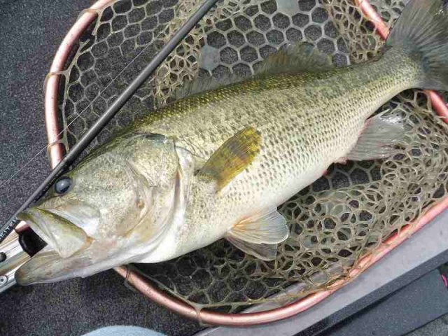 truth okuma ブログ写真 2016/06/06