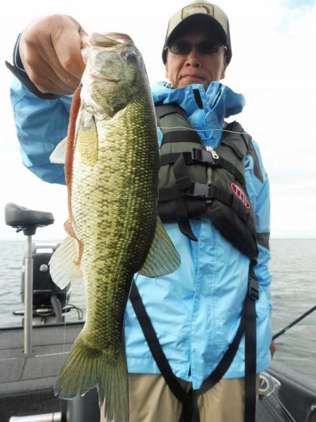 truth okuma ブログ写真 2016/06/09