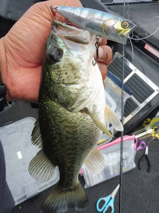 truth okuma ブログ写真 2016/06/09