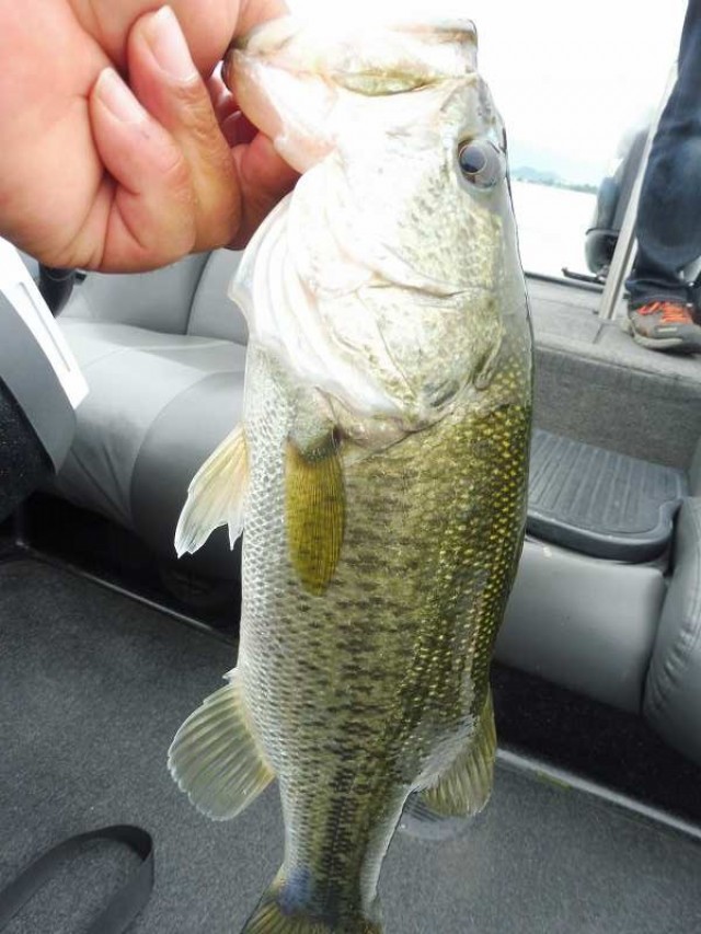 truth okuma ブログ写真 2016/06/09