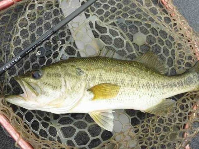 truth okuma ブログ写真 2016/06/09