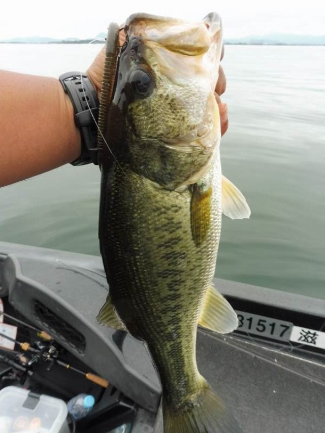 truth okuma ブログ写真 2016/06/09