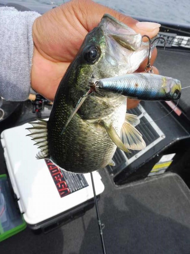 truth okuma ブログ写真 2016/06/11