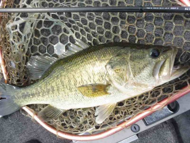 truth okuma ブログ写真 2016/06/11