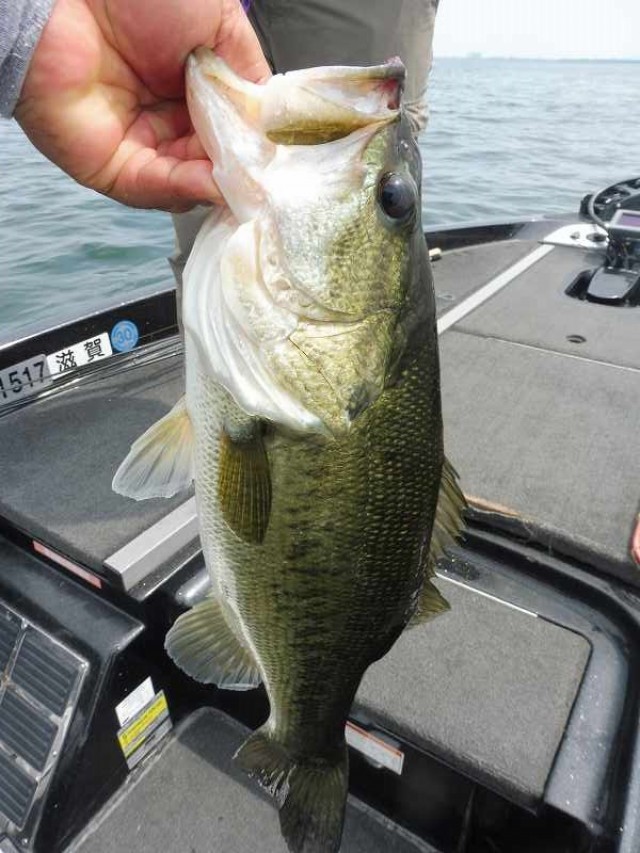 truth okuma ブログ写真 2016/06/11