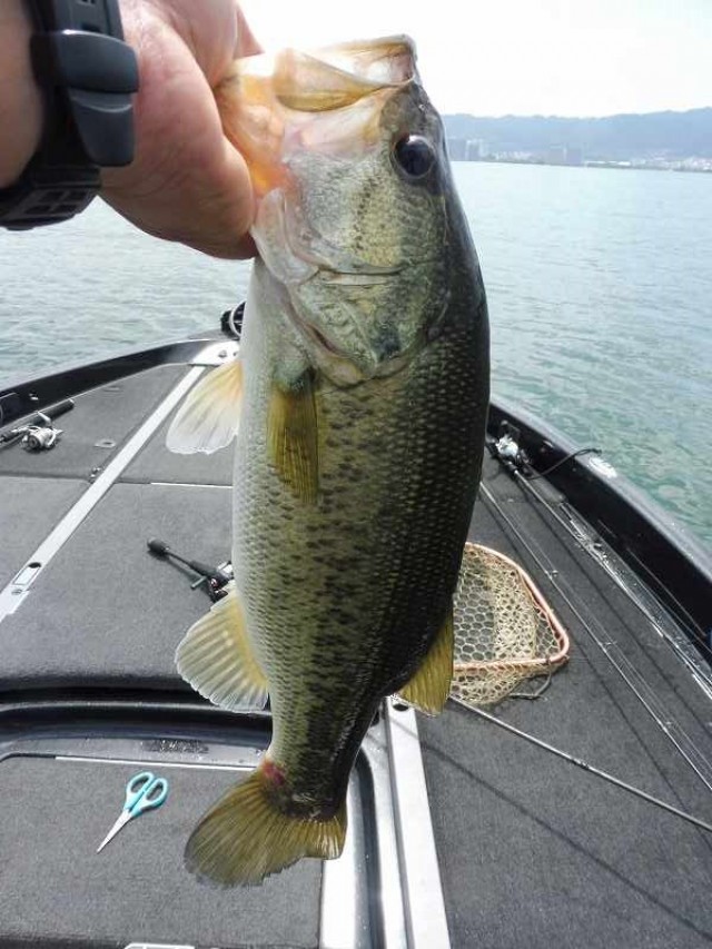 truth okuma ブログ写真 2016/06/14