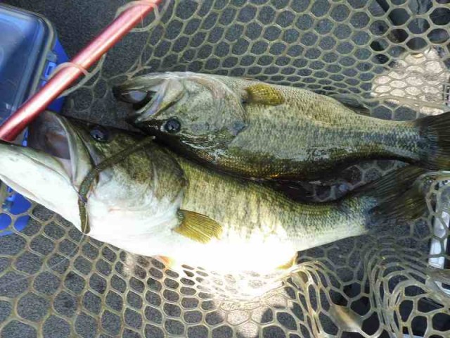 truth okuma ブログ写真 2016/06/14