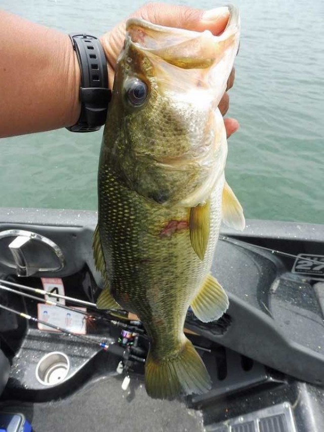 truth okuma ブログ写真 2016/06/14