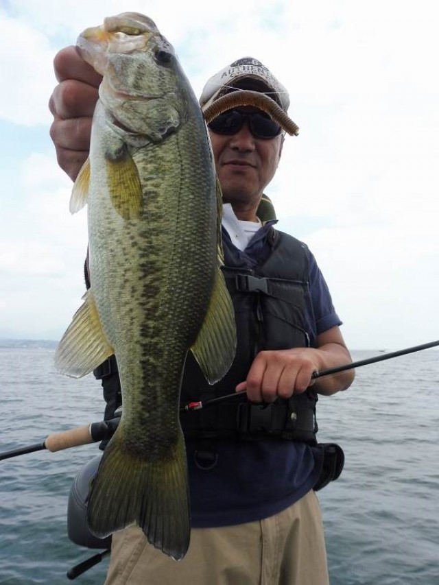 truth okuma ブログ写真 2016/06/15