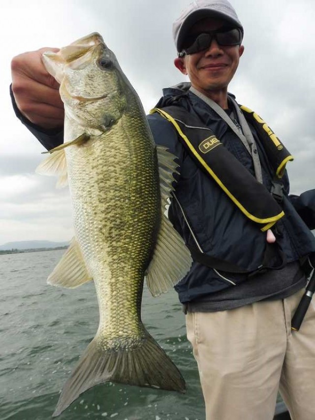 truth okuma ブログ写真 2016/06/15