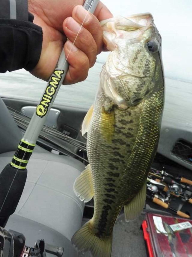 truth okuma ブログ写真 2016/06/19