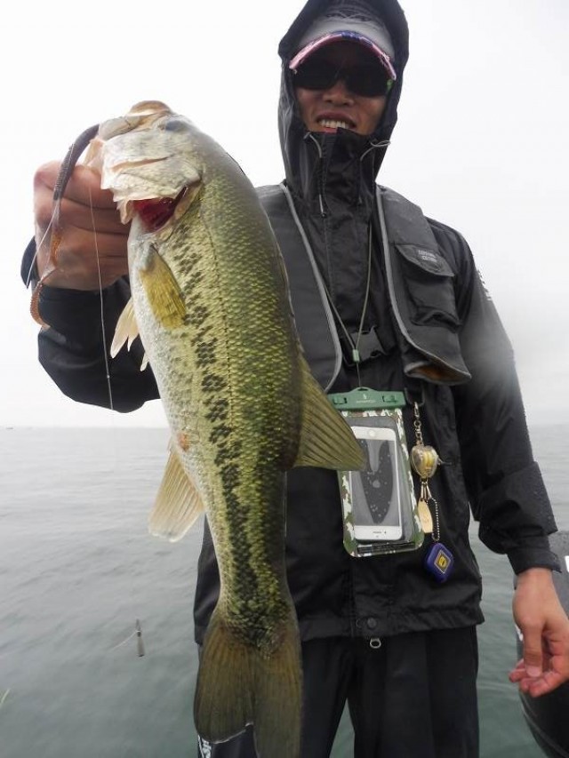 truth okuma ブログ写真 2016/06/19