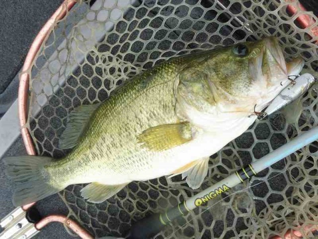 truth okuma ブログ写真 2016/06/20