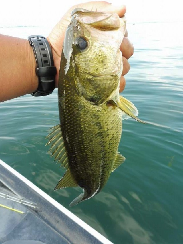 truth okuma ブログ写真 2016/06/21