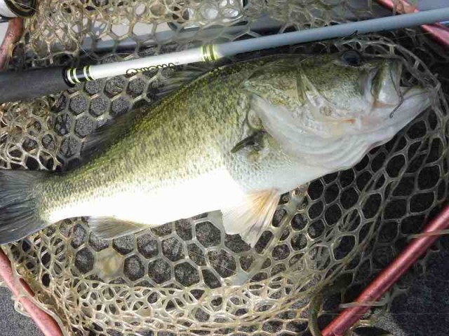 truth okuma ブログ写真 2016/06/21