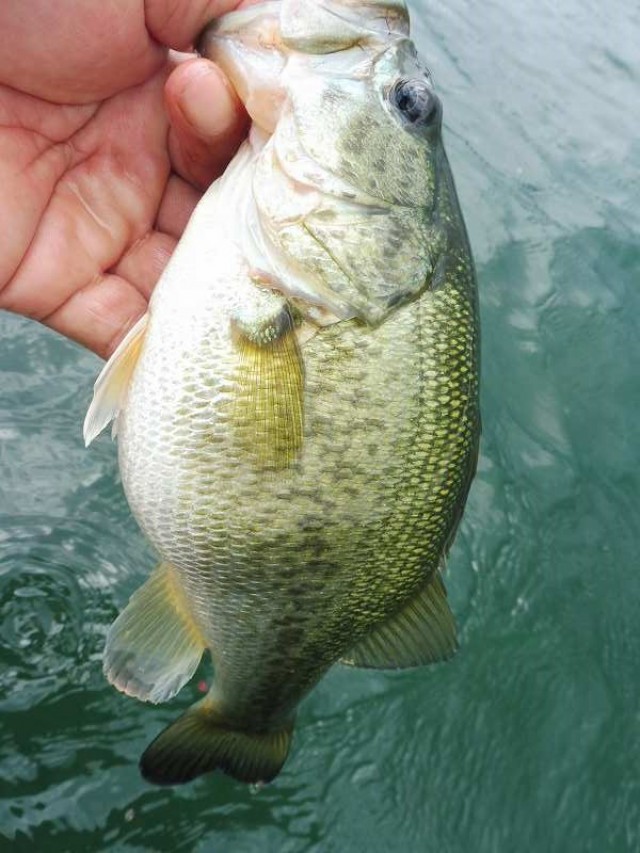 truth okuma ブログ写真 2016/06/21