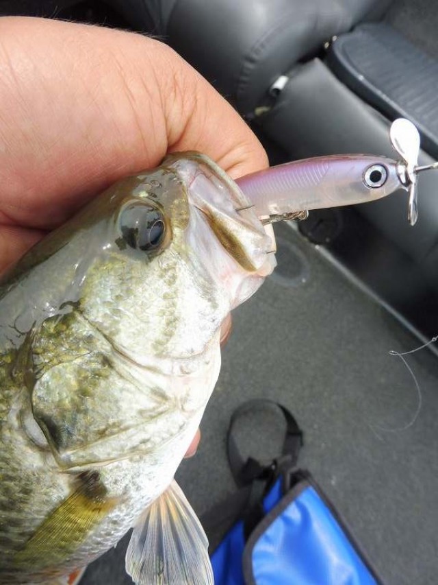 truth okuma ブログ写真 2016/06/22