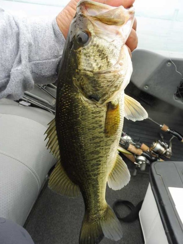 truth okuma ブログ写真 2016/06/22