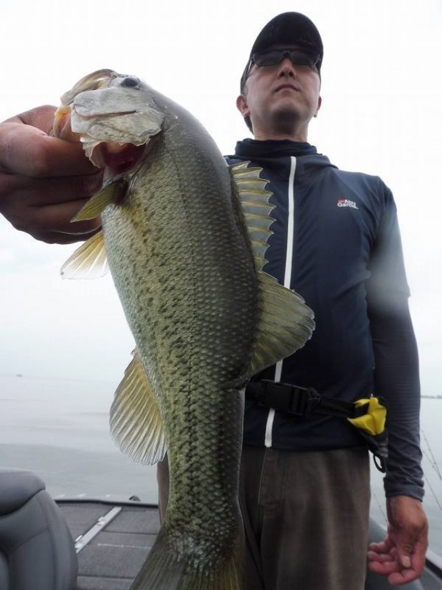 truth okuma ブログ写真 2016/06/22