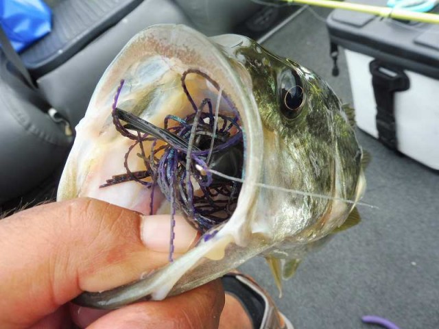 truth okuma ブログ写真 2016/06/22