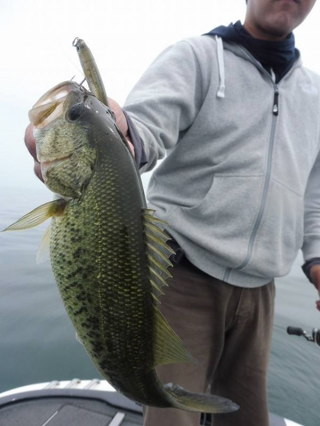 truth okuma ブログ写真 2016/06/22