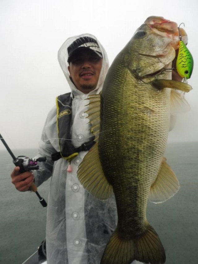 truth okuma ブログ写真 2016/06/24