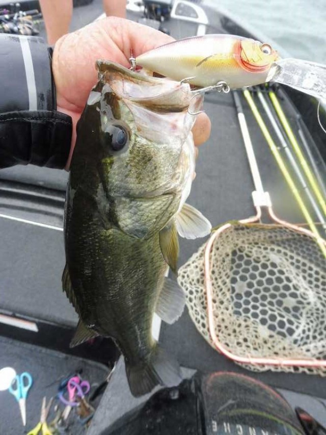 truth okuma ブログ写真 2016/06/24