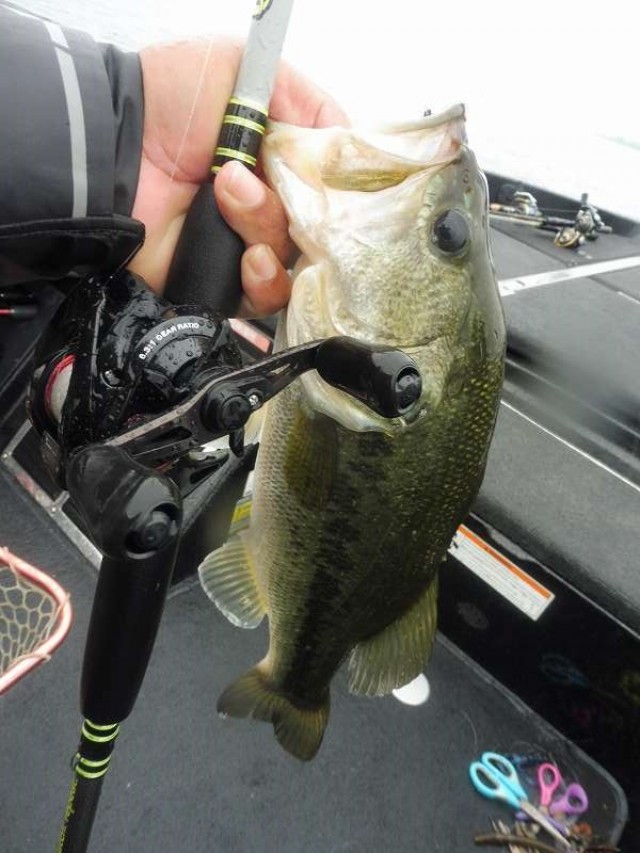 truth okuma ブログ写真 2016/06/24