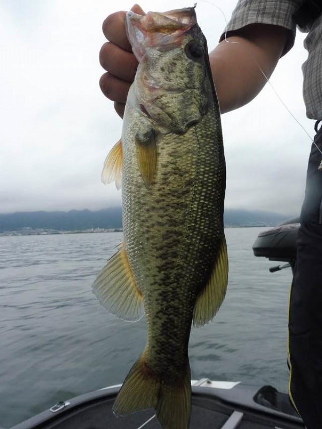 truth okuma ブログ写真 2016/06/25