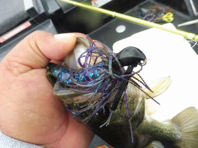 truth okuma ブログ写真 2016/06/25