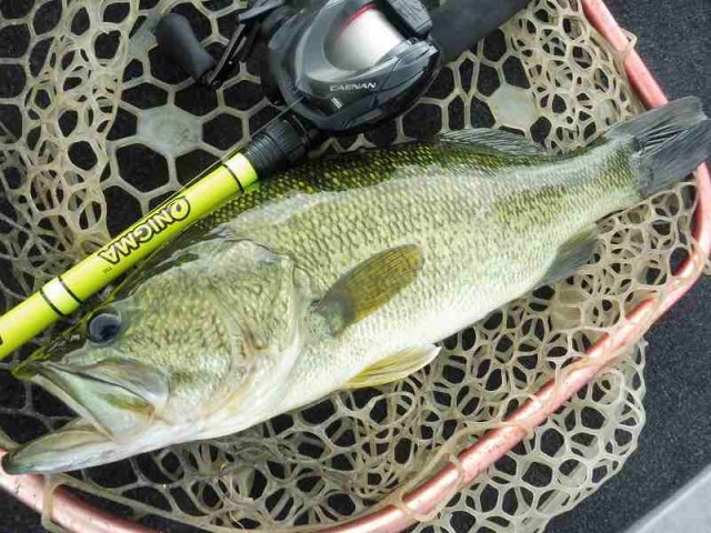 truth okuma ブログ写真 2016/06/25