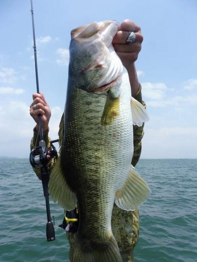 truth okuma ブログ写真 2016/06/26