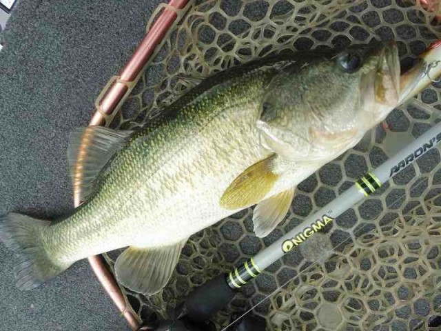 truth okuma ブログ写真 2016/06/26