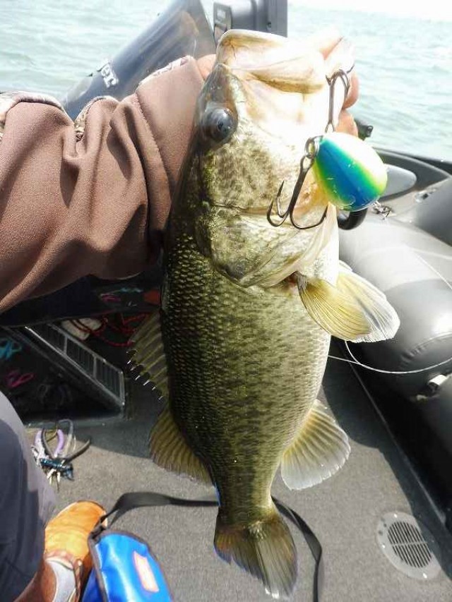 truth okuma ブログ写真 2016/06/26