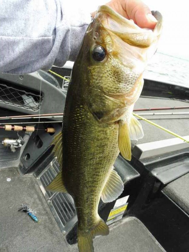 truth okuma ブログ写真 2016/07/03