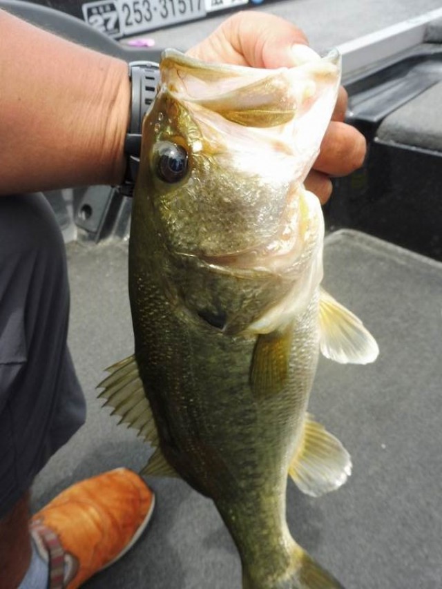 truth okuma ブログ写真 2016/07/05