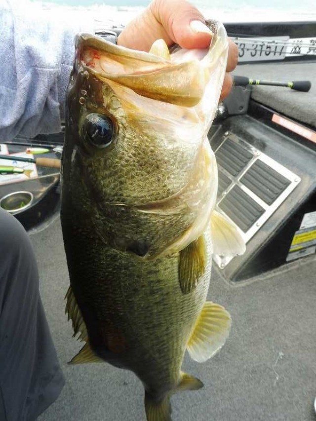 truth okuma ブログ写真 2016/07/06