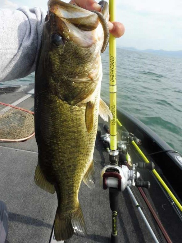 truth okuma ブログ写真 2016/07/07