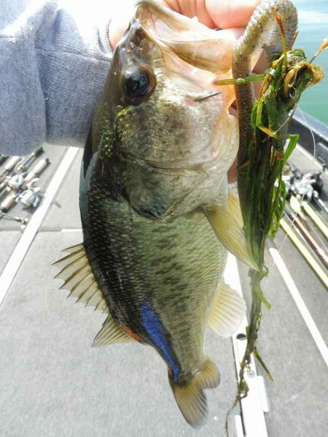 truth okuma ブログ写真 2016/07/07