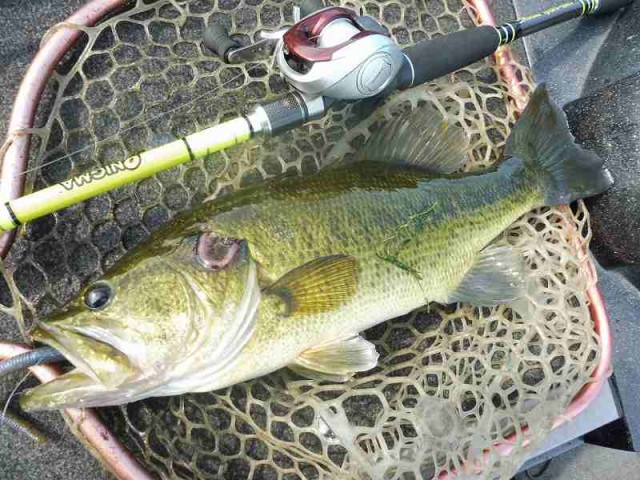 truth okuma ブログ写真 2016/07/07