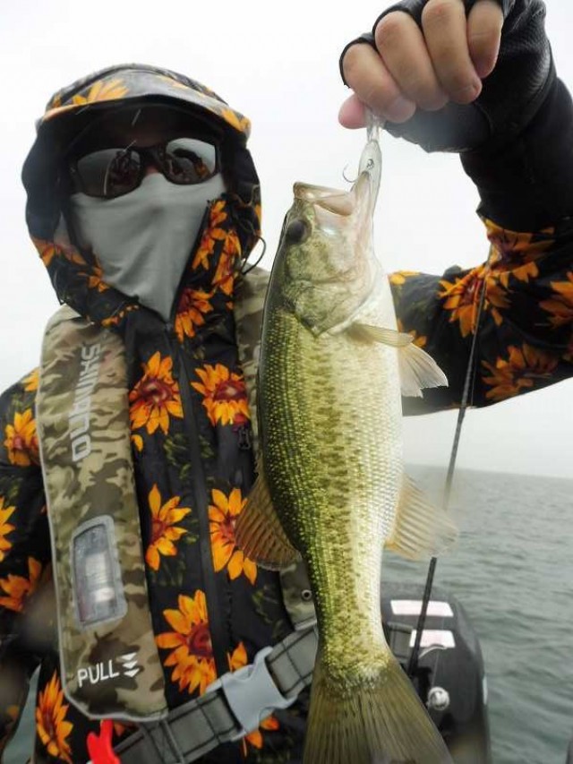 truth okuma ブログ写真 2016/07/09