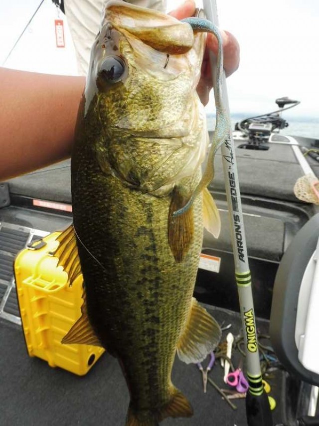 truth okuma ブログ写真 2016/07/09