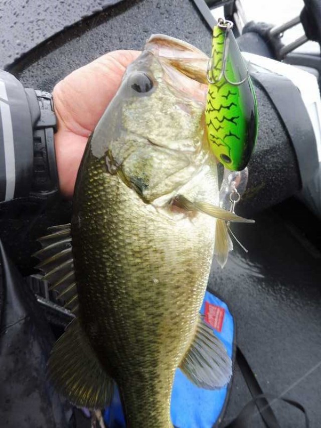 truth okuma ブログ写真 2016/07/09