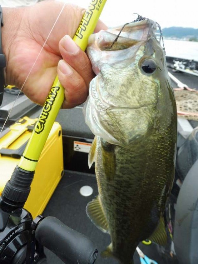 truth okuma ブログ写真 2016/07/09