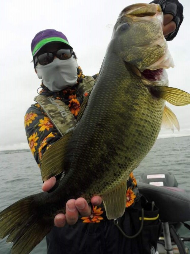 truth okuma ブログ写真 2016/07/09