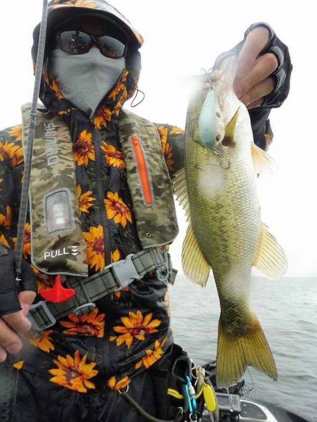 truth okuma ブログ写真 2016/07/09