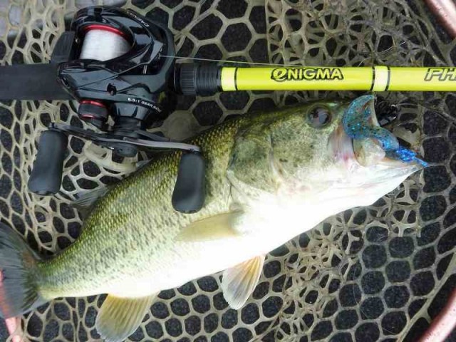 truth okuma ブログ写真 2016/07/09